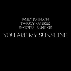 Album You Are My Sunshine from Jamey Johnson