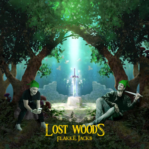 Dengarkan Lost Woods lagu dari Flakkë dengan lirik
