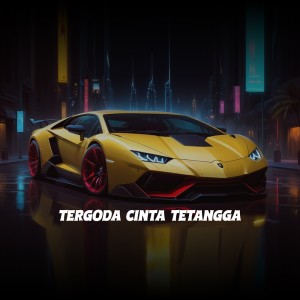 ดาวน์โหลดและฟังเพลง Tergoda Cinta Tetangga พร้อมเนื้อเพลงจาก Dj Rq Official