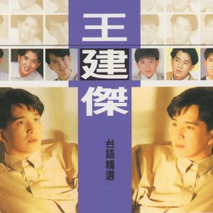 Dengarkan lagu 嫁不對人 nyanyian 王建杰 dengan lirik