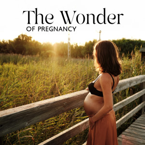 Dengarkan Soothe Little Human lagu dari Peaceful Pregnancy Musical Kit dengan lirik