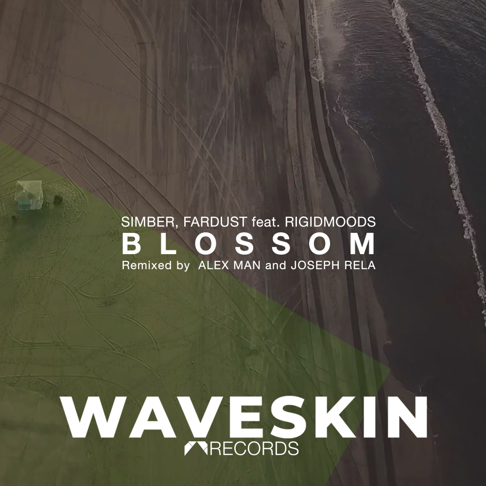 Blossom (Alex Man Remix)