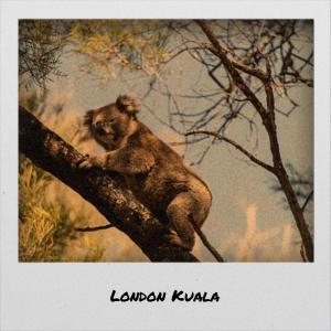 Listen to Yonder Accompany song with lyrics from Chisa Koby