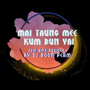 ดาวน์โหลดและฟังเพลง ไม่ต้องมีคำบรรยาย (EDM RMX PROJECT) พร้อมเนื้อเพลงจาก มิสเตอร์ ทีม