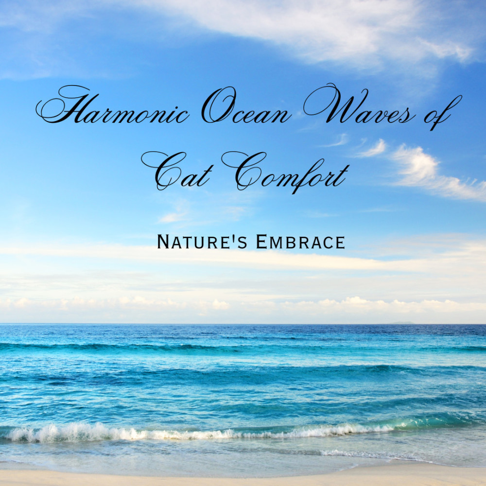 Cat's Haven by the Sea