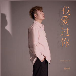 Album 我爱过你 from 杨小壮