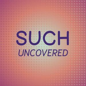 Album Such Uncovered from Various
