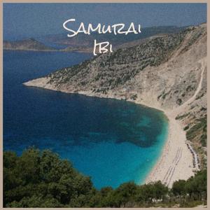 Various的专辑Samurai Ibi