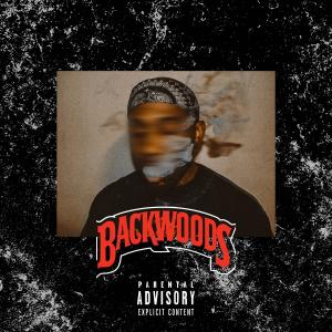 ดาวน์โหลดและฟังเพลง Backwoods (feat. Top Flite Empire) (Explicit) พร้อมเนื้อเพลงจาก Nathan Palmer