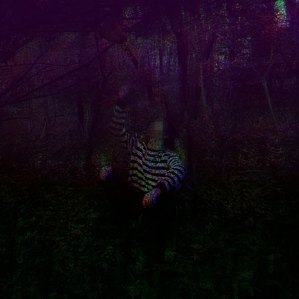 seeyxutxnight (Explicit)