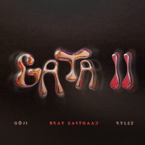 Album GATA II from 