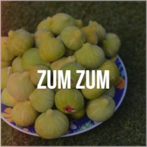 Various Artist的專輯Zum Zum