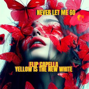 Flip Capella的專輯Never Let Me Go