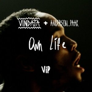 ดาวน์โหลดและฟังเพลง Own Life (feat. Anderson .Paak) [VIP Mix] (VIP Mix|Explicit) พร้อมเนื้อเพลงจาก Vindata