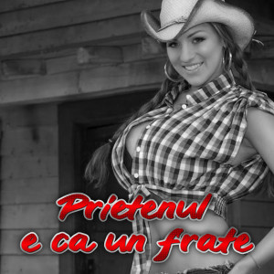 Cristi Dorel的专辑Prietenul e ca un frate