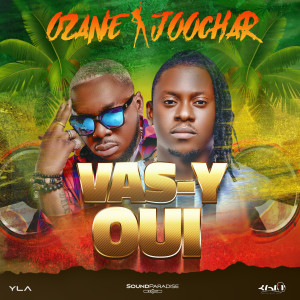 Listen to Vas-y oui song with lyrics from Ozane
