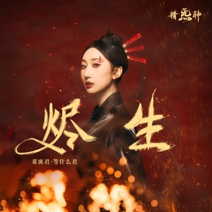 邓寓君(等什么君)的专辑烬生