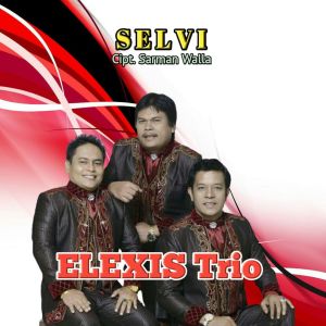 Elexis Trio的专辑SELVI