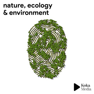 Listen to Eco Friendly song with lyrics from Franck Fossey