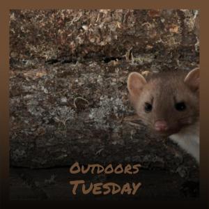 Album Outdoors Tuesday from Various