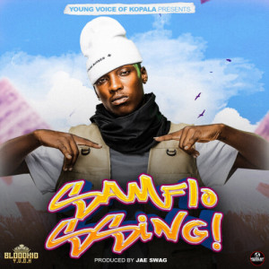 Album Samflossing from Blood Kid Yvok