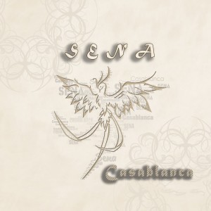 Listen to Respect Çek song with lyrics from Sena