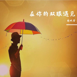 Album 在你的双眼遇见 from 林昕馨