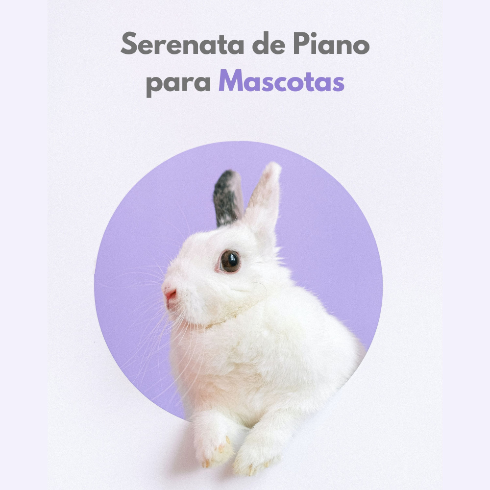 Armonía De Piano Reconfortante Y Relajante