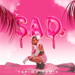 收聽TheLastLetter的Sad (TAPIWA Remix)歌詞歌曲