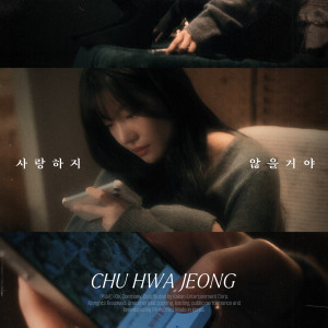 อัลบัม 사랑하지 않을 거야 (NO LOVE) ศิลปิน 추화정 Chu Hwa Jeong