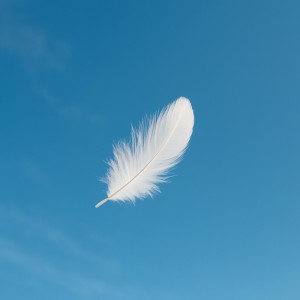 Listen to 飛ぶ song with lyrics from CULTONES