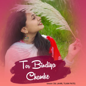 Listen to Tor Bindiya Chamke song with lyrics from Dil Lahri