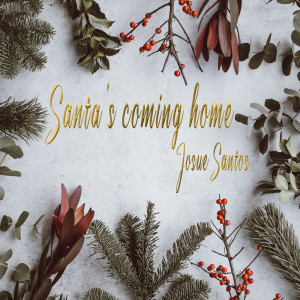 อัลบัม Santa's coming home ศิลปิน Telecinco