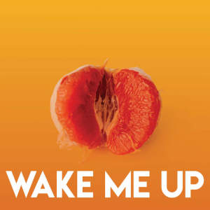 Album Wake Me Up from DJ Tokeo