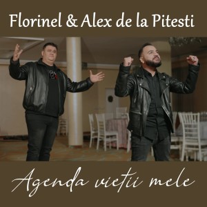 Listen to Agenda vietii mele song with lyrics from Florinel