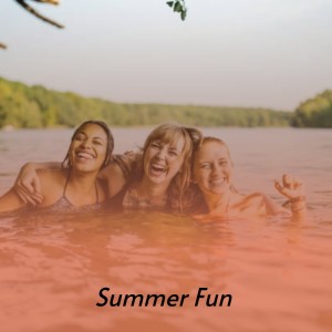 Album Summer Fun from Various Artists