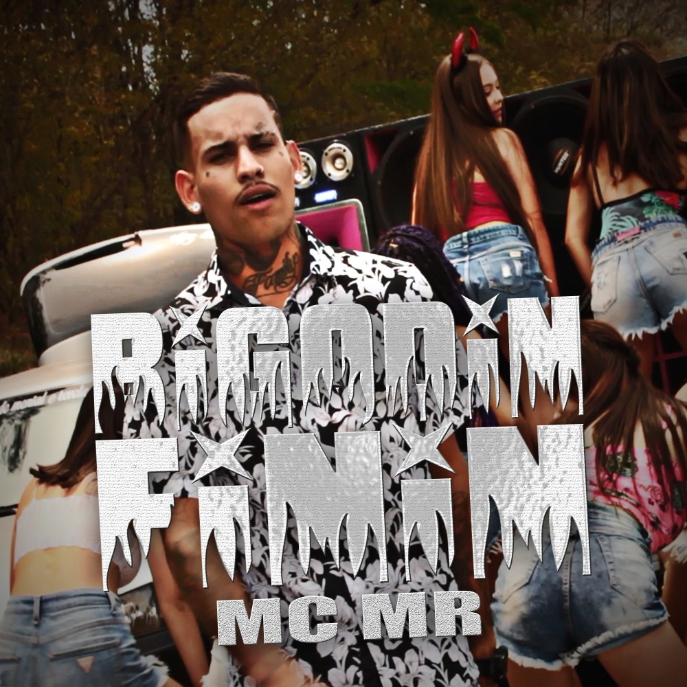 Bigodin Finin