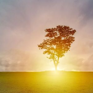 Listen to Family song with lyrics from Deep Sleep