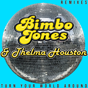 Album Turn Your World Around (Remixes) from Thelma Houston