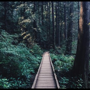 收听Zen Music Garden的Solitude歌词歌曲