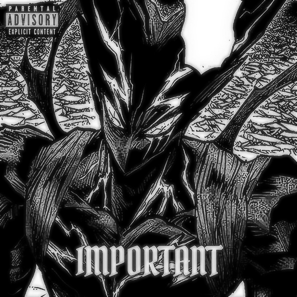 IMPORTANT (Explicit)