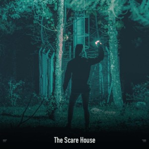 !!!!" The Scare House "!!!!