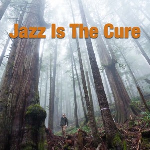Listen to Me Too song with lyrics from Jimmy Giuffre
