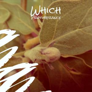 Listen to Untamed Aerial song with lyrics from Donie Chix