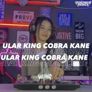ULAR KING COBRA dari DJ MHMMD-G