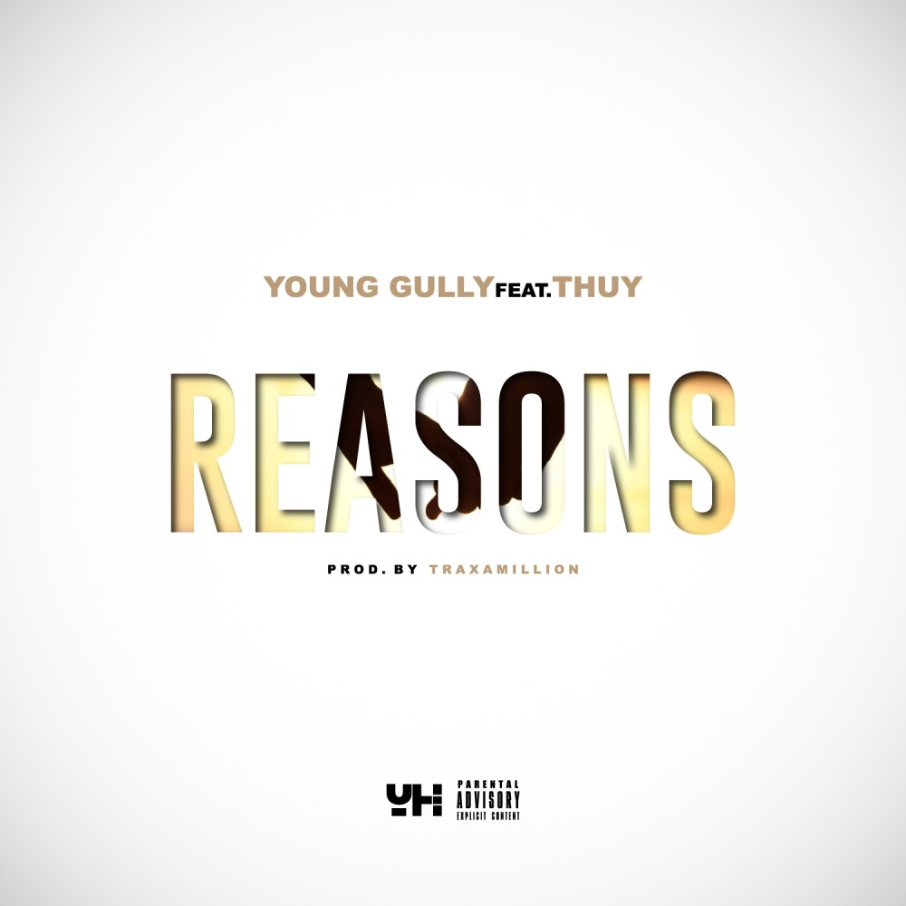 Reasons (Explicit)