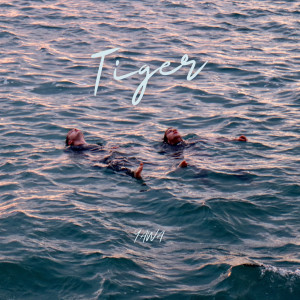 Listen to Tiger song with lyrics from Yawa