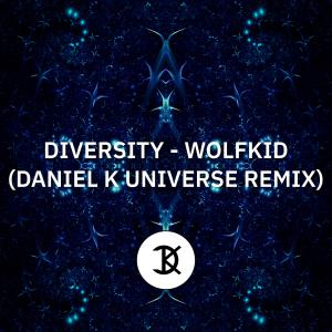 Diversity (Daniel K Universe Remix)