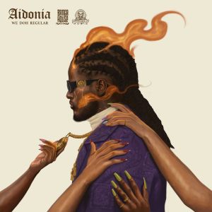 Album We Doh Regular (Explicit) from Aidonia
