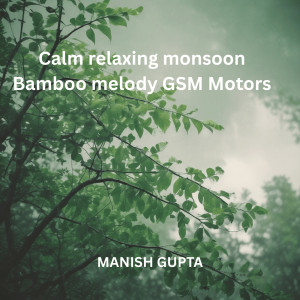 Listen to Calm Relaxing Monsoon Bamboo Melody Gsm Motors song with lyrics from Manish Gupta